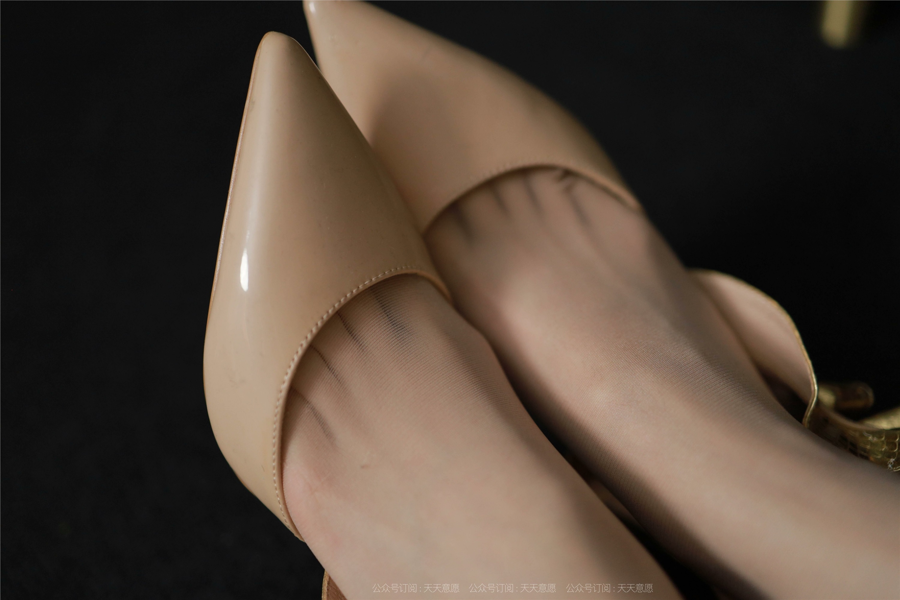 IESS异思趣向  2021.11.08 丝享家969：团团《迷人的金色波纹》